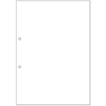 ヒサゴ マルチプリンタ帳票 複写タイプ A4 ノーカーボン 白紙 2穴 BPC2001 1冊(100枚)