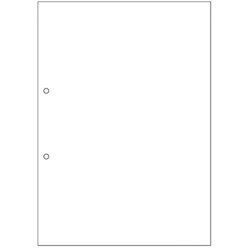TANOSEE マルチプリンタ帳票 複写タイプ A4 ノーカーボン 白紙2穴 1箱(500枚:100枚×5冊)