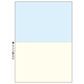 TANOSEE マルチプリンタ帳票 複写タイプ A4 ノーカーボン カラー2面 1箱(500枚:100枚×5冊)