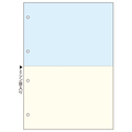 TANOSEE マルチプリンタ帳票 複写タイプ A4 ノーカーボン カラー2面4穴 1箱(500枚:100枚×5冊)