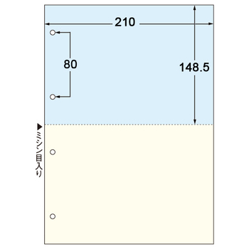 TANOSEE マルチプリンタ帳票 複写タイプ A4 ノーカーボン カラー2面4穴 1箱(500枚:100枚×5冊)