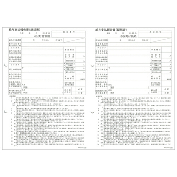 弥生 令和6年分 賃金台帳/給与支払報告書セット (100人用) 202532 1セット