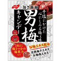 ノーベル 男梅キャンディー 80g/袋 1セット(6袋)