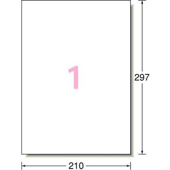 エーワン ラベルシール[インクジェット] 超耐水光沢紙・ホワイト A4 ノーカット 64601 1冊(50シート)