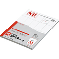 コクヨ PPC用 紙ラベル(共用タイプ) B4 20面 91×51.4mm KB-A142 1冊(100シート)