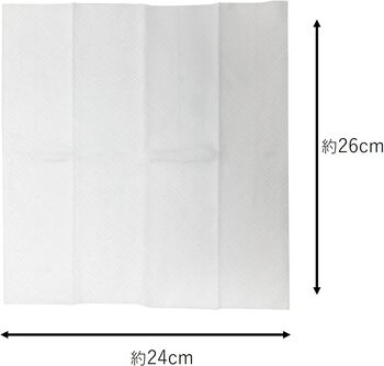 日本ラインファースト ラグジュアリー極厚おしぼり 1セット(2500枚:50枚×50パック)