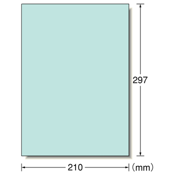 エーワン ラベルシール[プリンタ兼用] マット紙・ライトブルー A4判 ノーカット 28491 1冊(15シート)