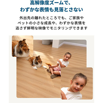 アンカージャパン eufy(ユーフィ) 屋内カメラ Security IndoorCam S350 ホワイト T8416521 1台