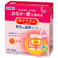 花王 めぐりズム 蒸気の温熱シート 下着の内側面に貼るタイプ 1箱(5枚)