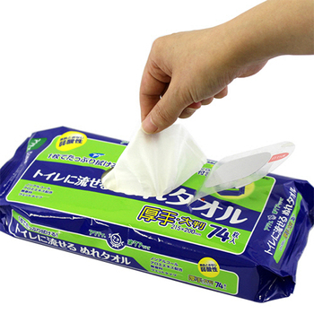 日本製紙クレシア アクティ トイレに流せるぬれタオル 1パック(76枚)