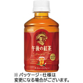 キリンビバレッジ 午後の紅茶 ストレートティー ホット&コールド 280mL ペットボトル 1セット(48本:24本×2ケース)