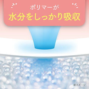 日本製紙クレシア ポイズ さらさら吸水ナプキン 約20cc 無香料 1パック(26枚)