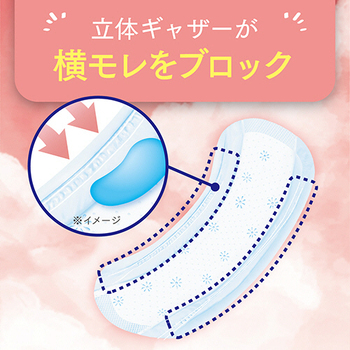 日本製紙クレシア ポイズ さらさら吸水ナプキン 約100cc 無香料 1パック(12枚)