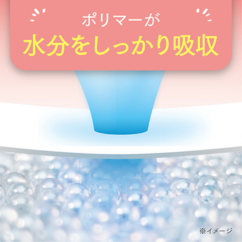 日本製紙クレシア ポイズ さらさら吸水ナプキン 約100cc 無香料 1パック(12枚)