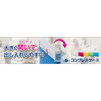 リヒトラブ AQUA DROPs コングレスケース A4ヨコ 150枚収容 赤 A-5035-3 1セット(10個)